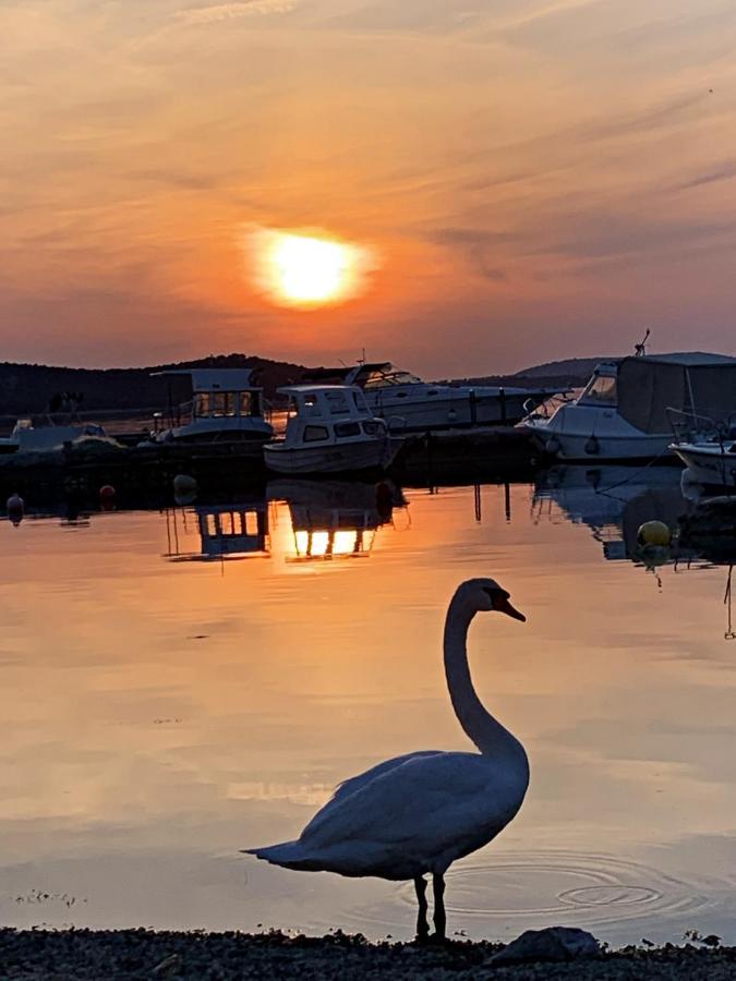 Apartments Villa Ra Zaboric Εξωτερικό φωτογραφία