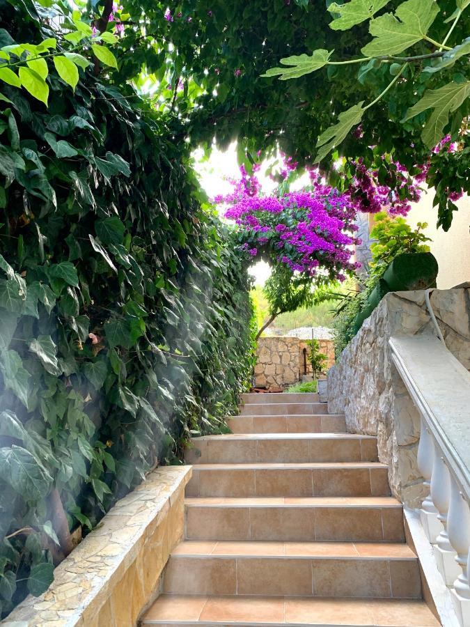 Apartments Villa Ra Zaboric Εξωτερικό φωτογραφία
