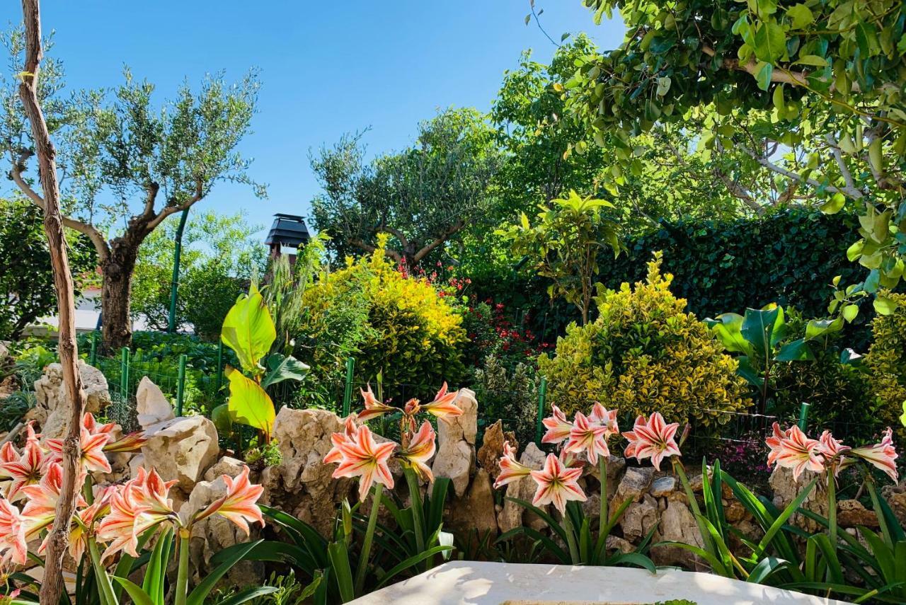 Apartments Villa Ra Zaboric Εξωτερικό φωτογραφία